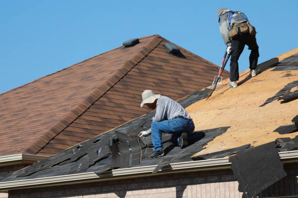 Best Asphalt Shingle Roofing  in Carrollton, TX