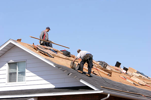 Best Cold Roofs  in Carrollton, TX